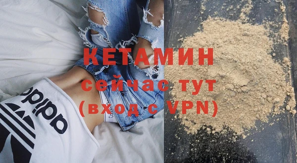 стафф Заводоуковск