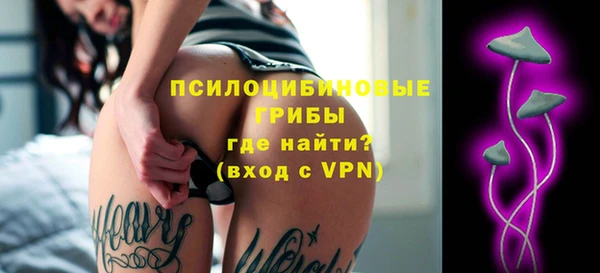 стафф Заводоуковск