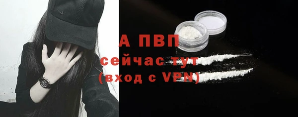 стафф Заводоуковск